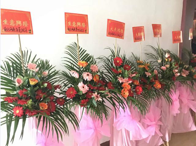 澳港宝典免费资料大全